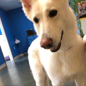 Meet your Posher, Matty